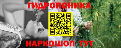 каннабис Будённовск