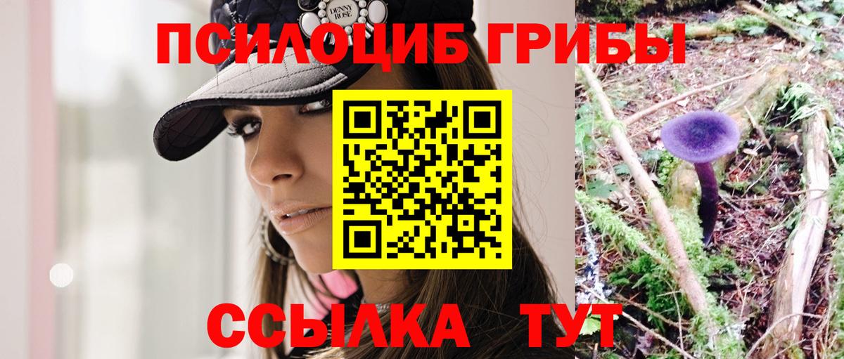 Галлюциногенные грибы мицелий Рязань
