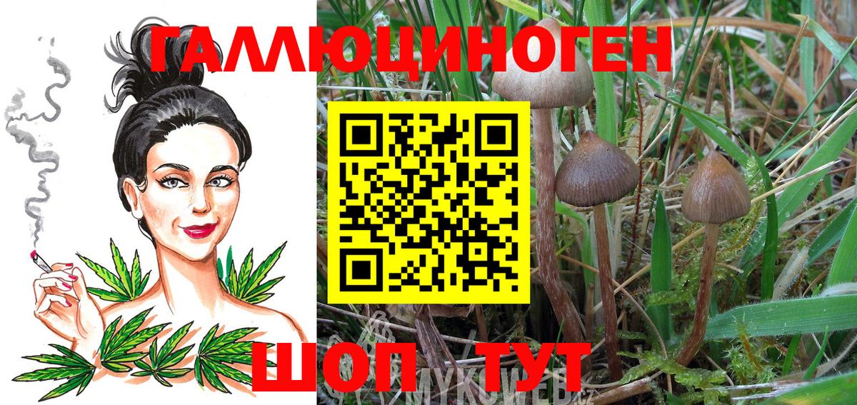 Галлюциногенные грибы Psilocybe  Галлюциногенные грибы ЛСД  Вход с VPN  Рязань 